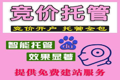 搜索引擎竞价推广实战：行业领先企业的成功秘诀